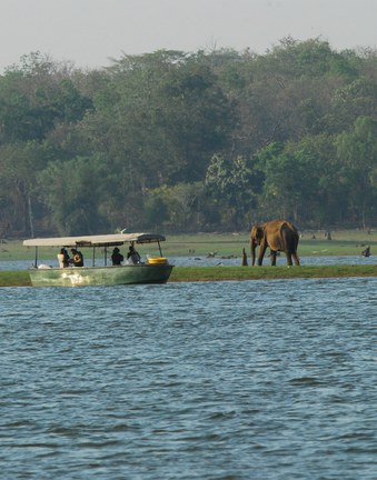 Kabini